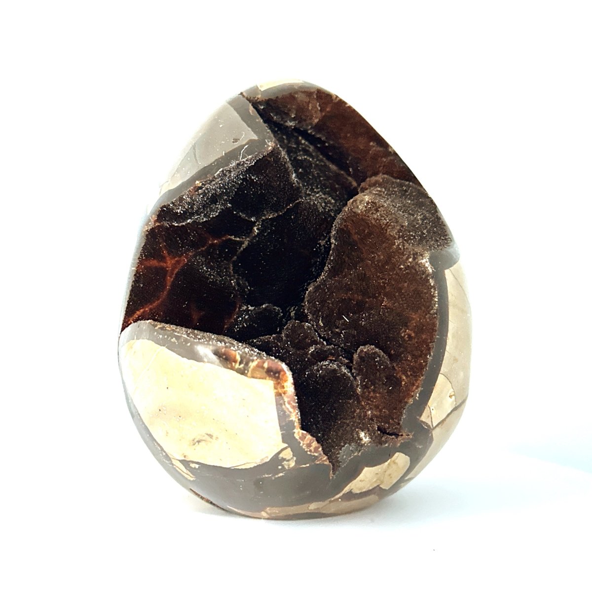 Dragon’s Egg Septarian Geode (1570 Grams) – Natural Stone from Madagascar - FossilsAndMore