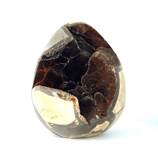 Dragon’s Egg Septarian Geode (1570 Grams) – Natural Stone from Madagascar - FossilsAndMore