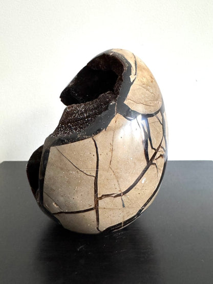 Dragon’s Egg Septarian Geode (1570 Grams) – Natural Stone from Madagascar - FossilsAndMore