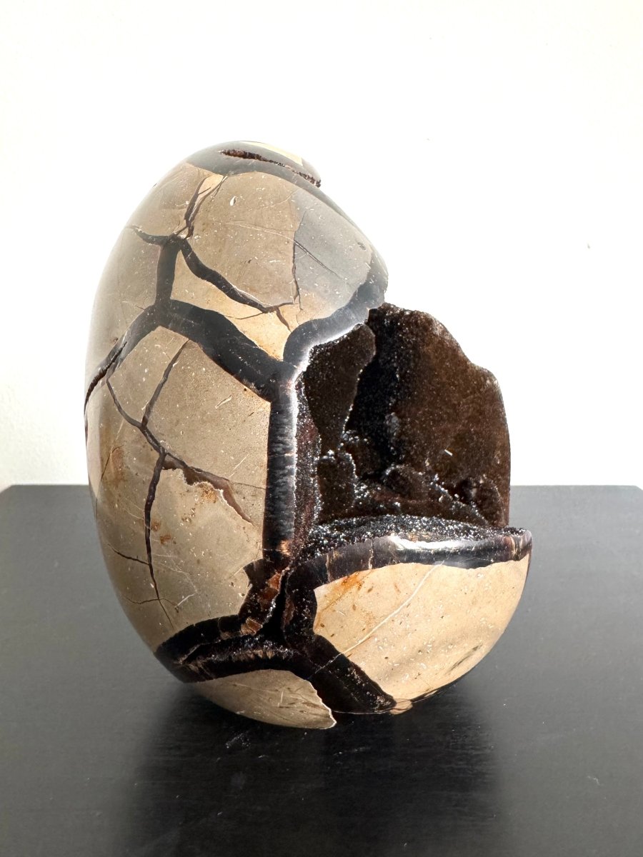 Dragon’s Egg Septarian Geode (1570 Grams) – Natural Stone from Madagascar - FossilsAndMore