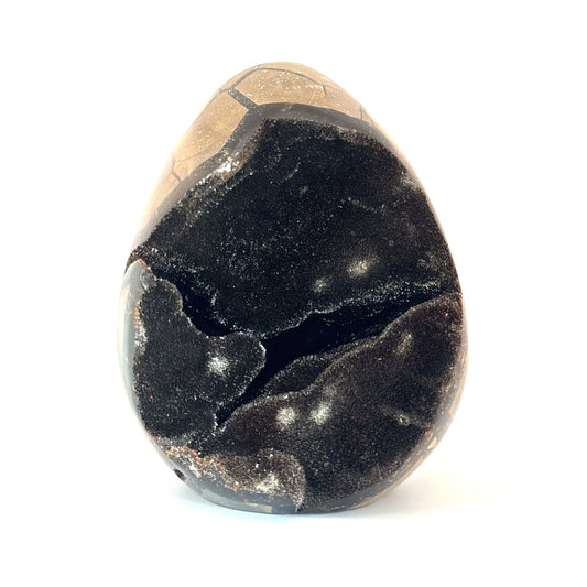 Dragon’s Egg Septarian Geode (2122 Grams) – Natural Stone from Madagascar - FossilsAndMore