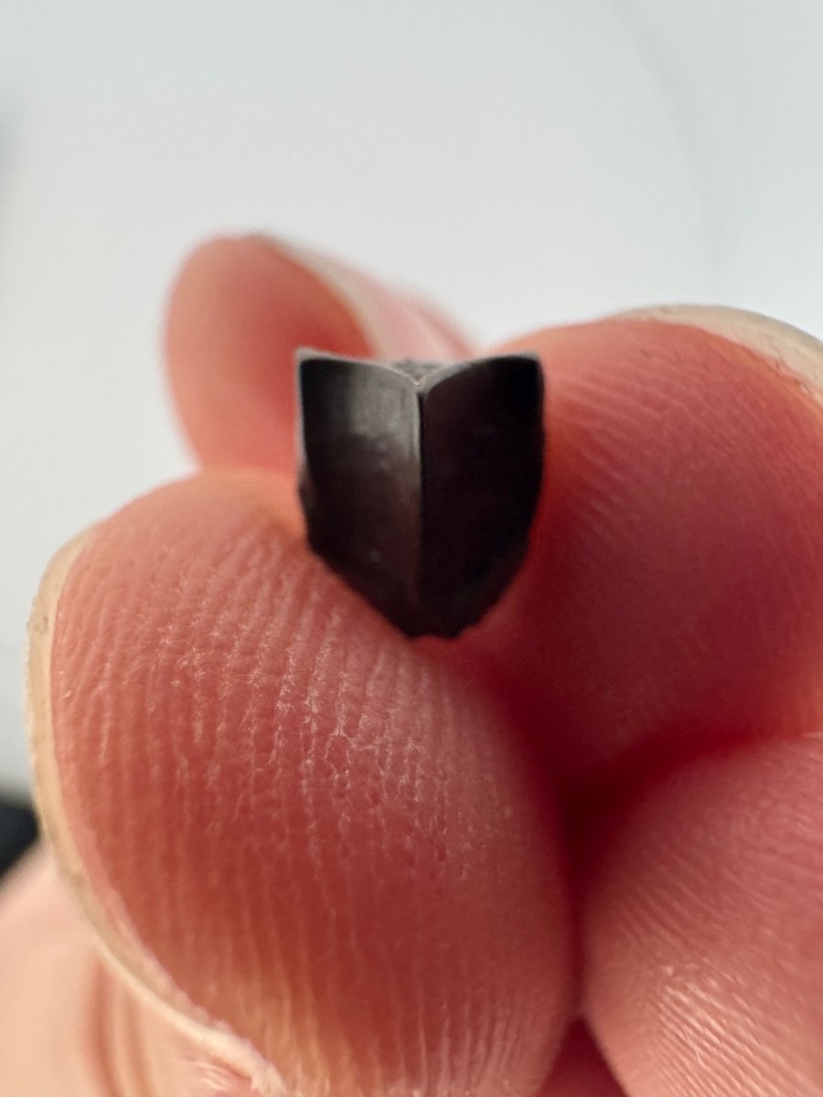 Edmontosaurus Fossil Tooth Fragment (0.30") - Cretaceous, Hell Creek Formation, USA - FossilsAndMore