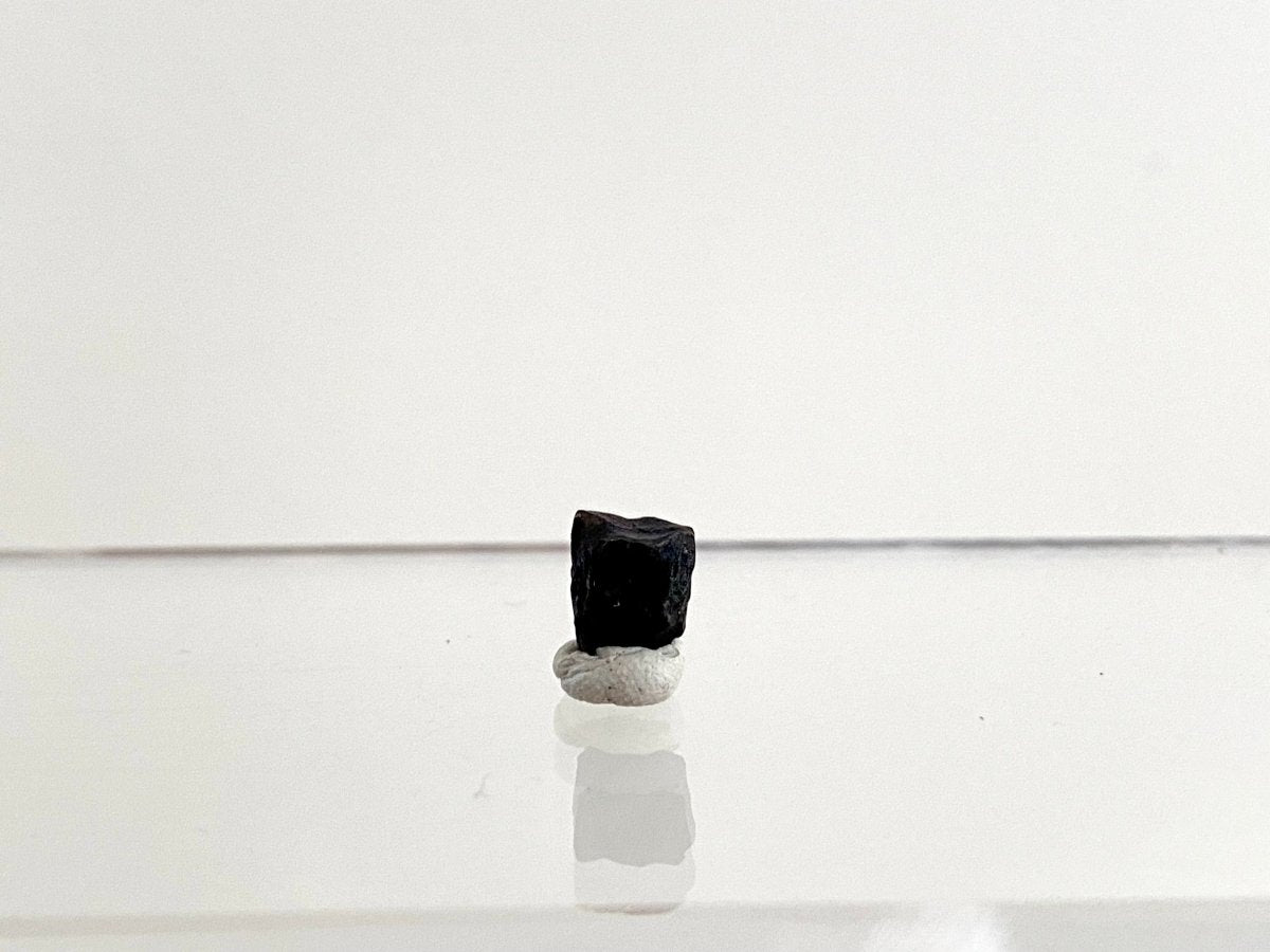 Edmontosaurus Fossil Tooth Fragment (0.34") - Cretaceous, Hell Creek Formation, USA - FossilsAndMore