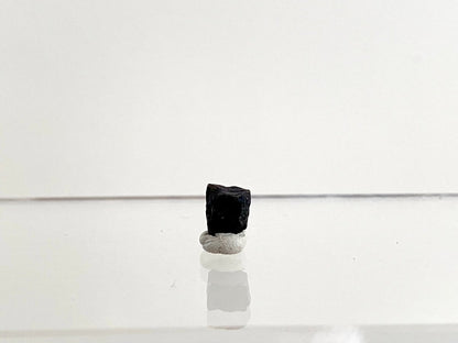 Edmontosaurus Fossil Tooth Fragment (0.34") - Cretaceous, Hell Creek Formation, USA - FossilsAndMore