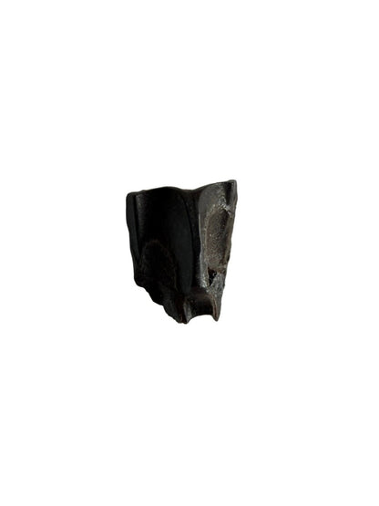 Edmontosaurus Fossil Tooth Fragment (0.34") - Cretaceous, Hell Creek Formation, USA - FossilsAndMore