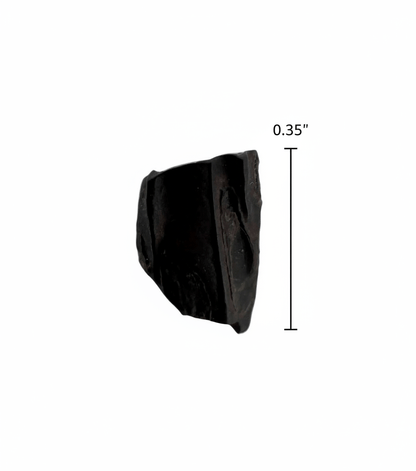 Edmontosaurus Fossil Tooth Fragment (0.35") - Cretaceous, Hell Creek Formation, USA - FossilsAndMore