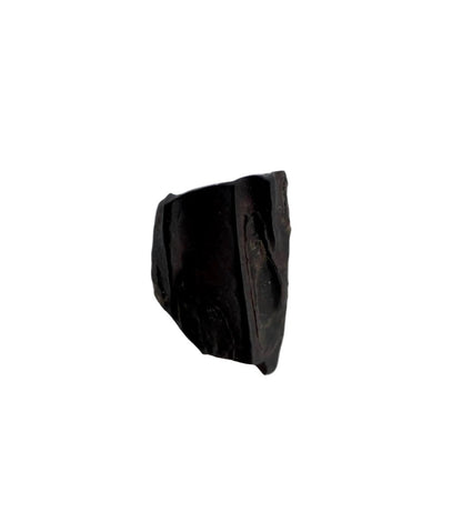 Edmontosaurus Fossil Tooth Fragment (0.35") - Cretaceous, Hell Creek Formation, USA - FossilsAndMore