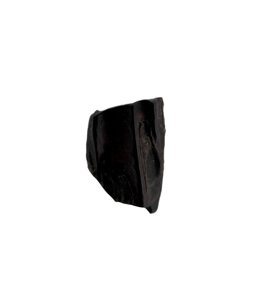 Edmontosaurus Fossil Tooth Fragment (0.35") - Cretaceous, Hell Creek Formation, USA - FossilsAndMore