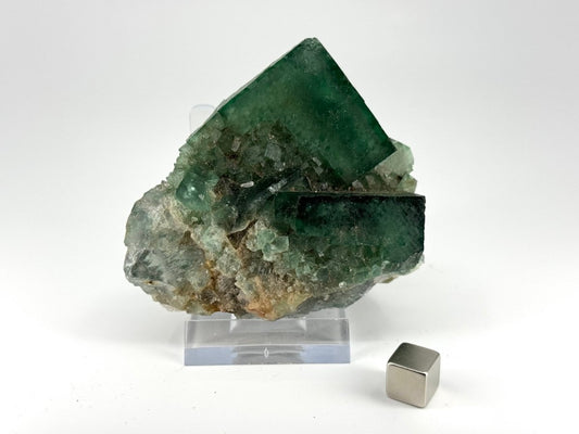 Fluorite Crystal Cluster from Madagascar - 214 Grams - FossilsAndMore