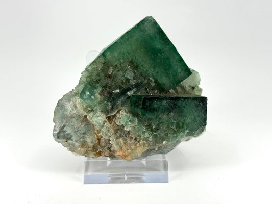 Fluorite Crystal Cluster from Madagascar - 214 Grams - FossilsAndMore