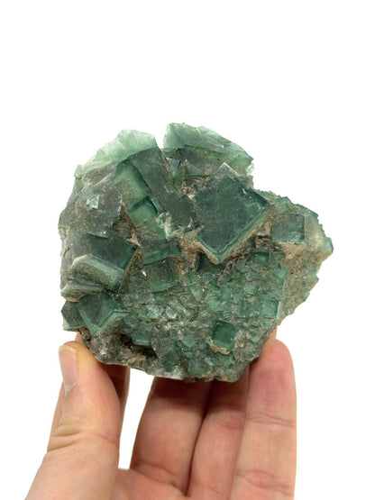 Fluorite Crystal Cluster from Madagascar - 340 Grams - FossilsAndMore
