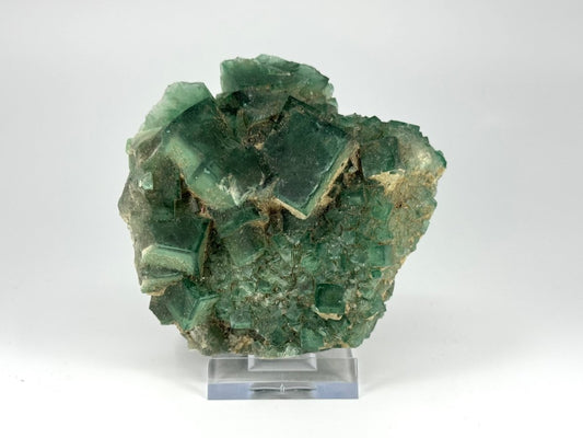 Fluorite Crystal Cluster from Madagascar - 340 Grams - FossilsAndMore