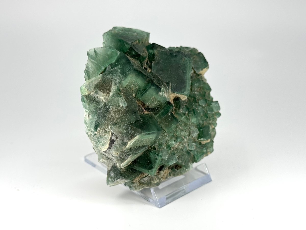 Fluorite Crystal Cluster from Madagascar - 340 Grams - FossilsAndMore