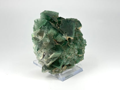 Fluorite Crystal Cluster from Madagascar - 340 Grams - FossilsAndMore