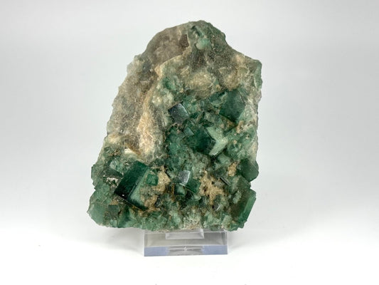 Fluorite Crystal Cluster from Madagascar - 439 Grams - FossilsAndMore