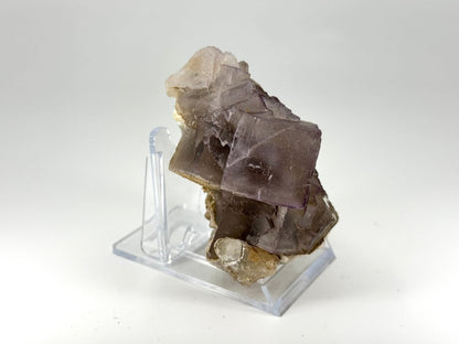 Fluorite Crystal Cluster from Pakistan - 220 Grams - FossilsAndMore
