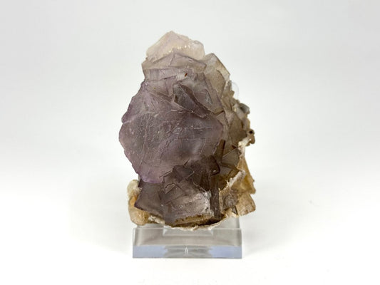 Fluorite Crystal Cluster from Pakistan - 220 Grams - FossilsAndMore