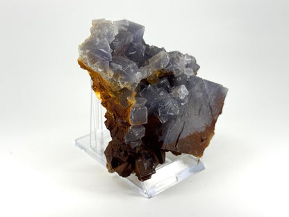 Fluorite Crystal Cluster from Pakistan - 252 Grams - FossilsAndMore