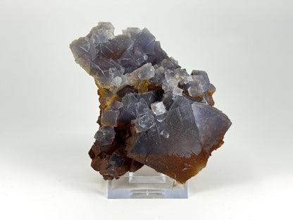 Fluorite Crystal Cluster from Pakistan - 252 Grams - FossilsAndMore