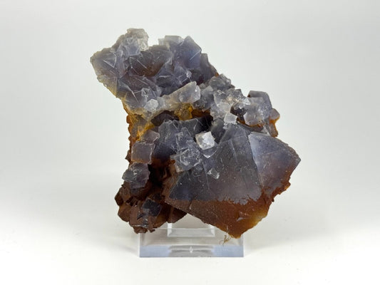 Fluorite Crystal Cluster from Pakistan - 252 Grams - FossilsAndMore