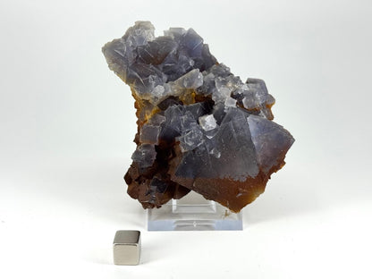 Fluorite Crystal Cluster from Pakistan - 252 Grams - FossilsAndMore