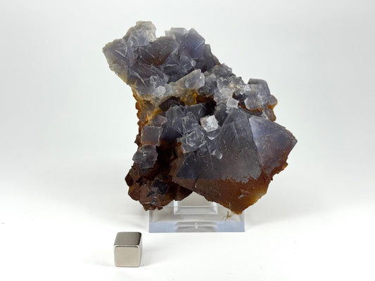 Fluorite Crystal Cluster from Pakistan - 252 Grams - FossilsAndMore