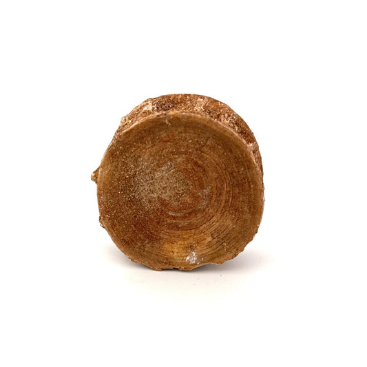 Fossil Shark Vertebra (1.76") – Eocene, Morocco - FossilsAndMore