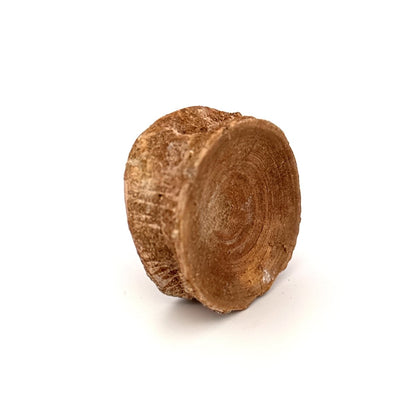 Fossil Shark Vertebra (1.76") – Eocene, Morocco - FossilsAndMore