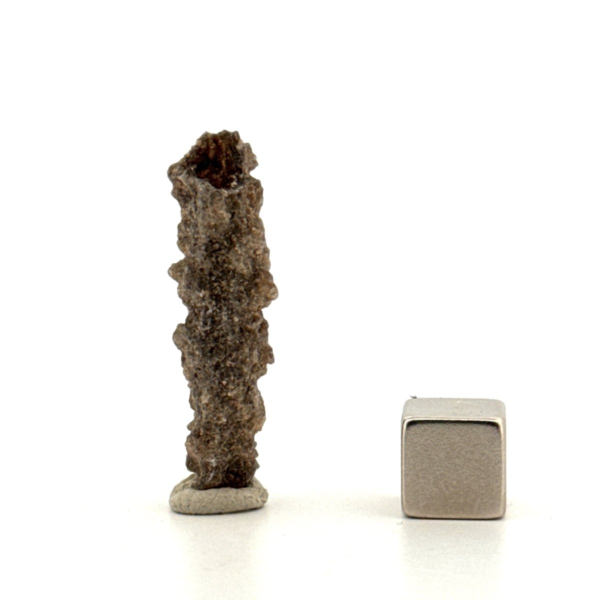 Fulgurite a Natural Glass Formed by Lightning | 1.39" - FossilsAndMore