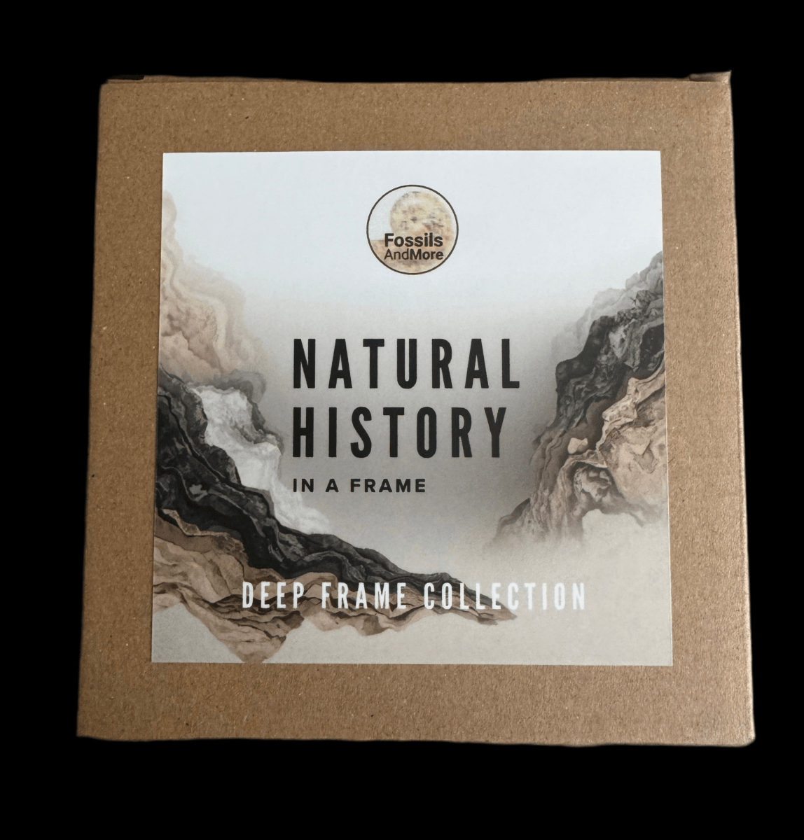 Fulgurite, Nature’s Lightning Formed Gemstone in Deep Box Frame - FossilsAndMore