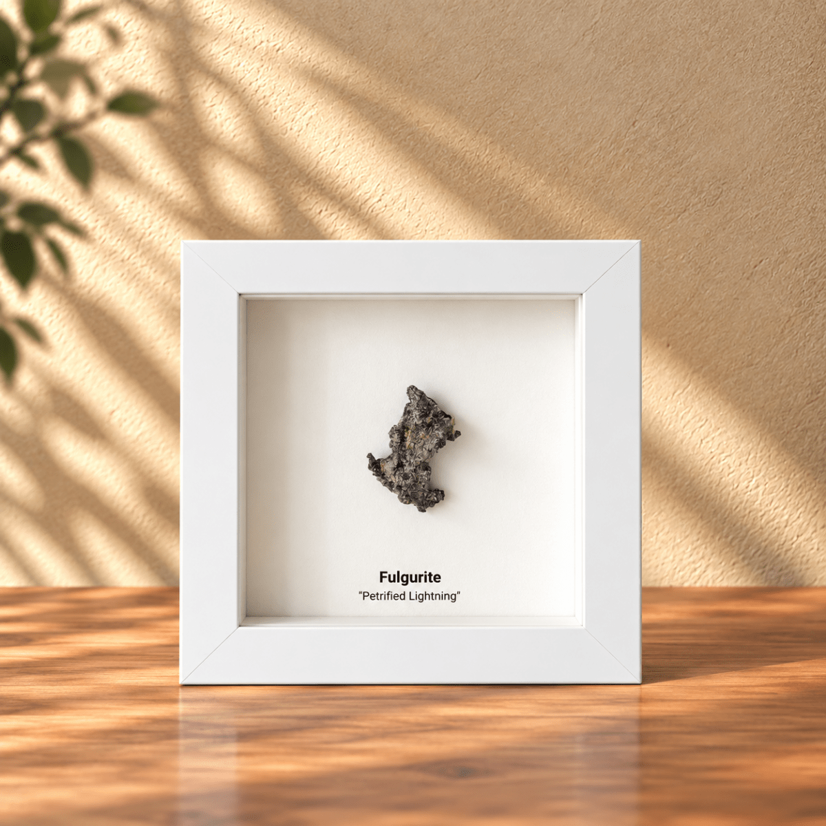 Fulgurite, Nature’s Lightning Formed Gemstone in Deep Box Frame - FossilsAndMore