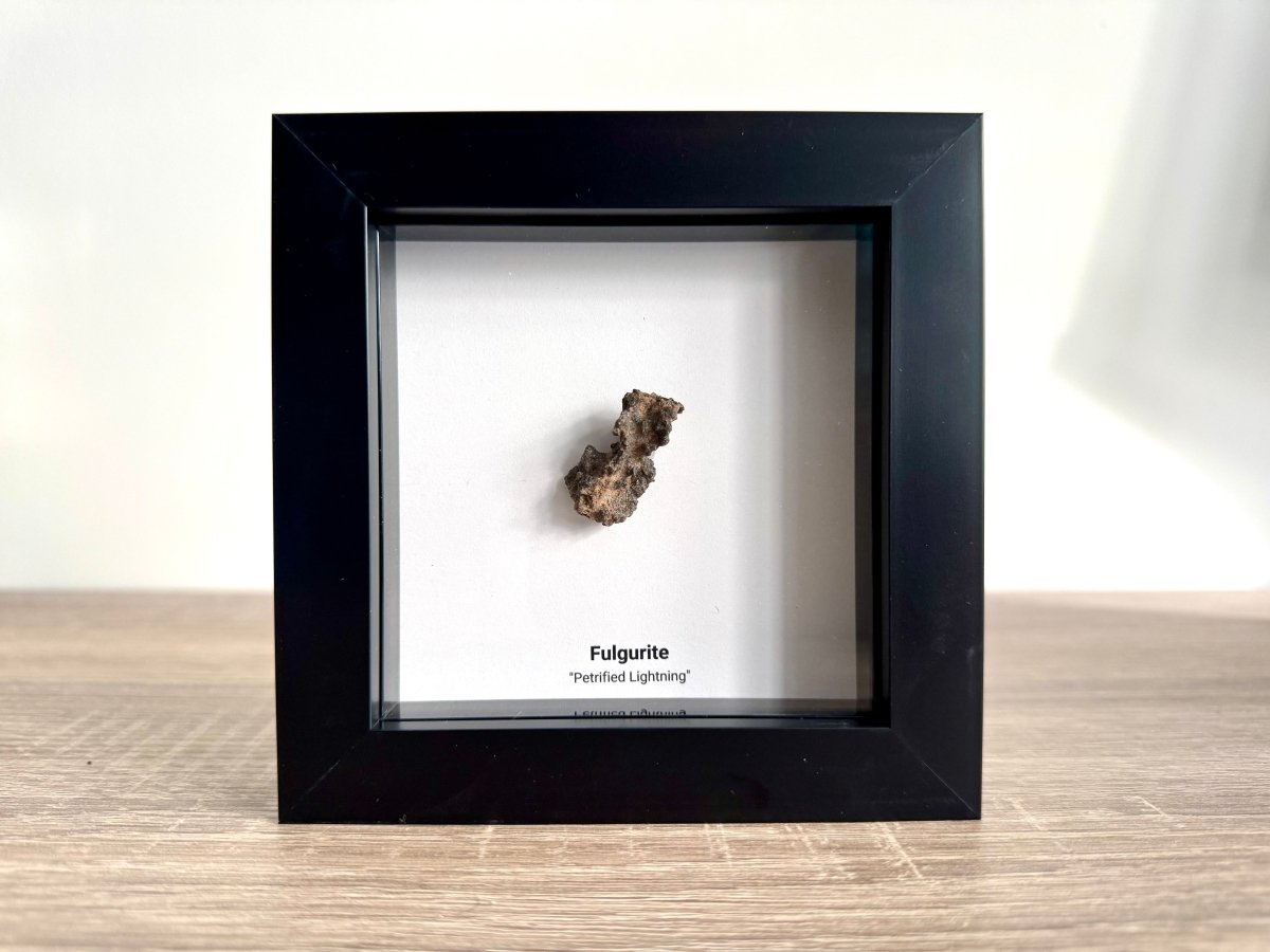 Fulgurite, Nature’s Lightning Formed Gemstone in Deep Box Frame - FossilsAndMore