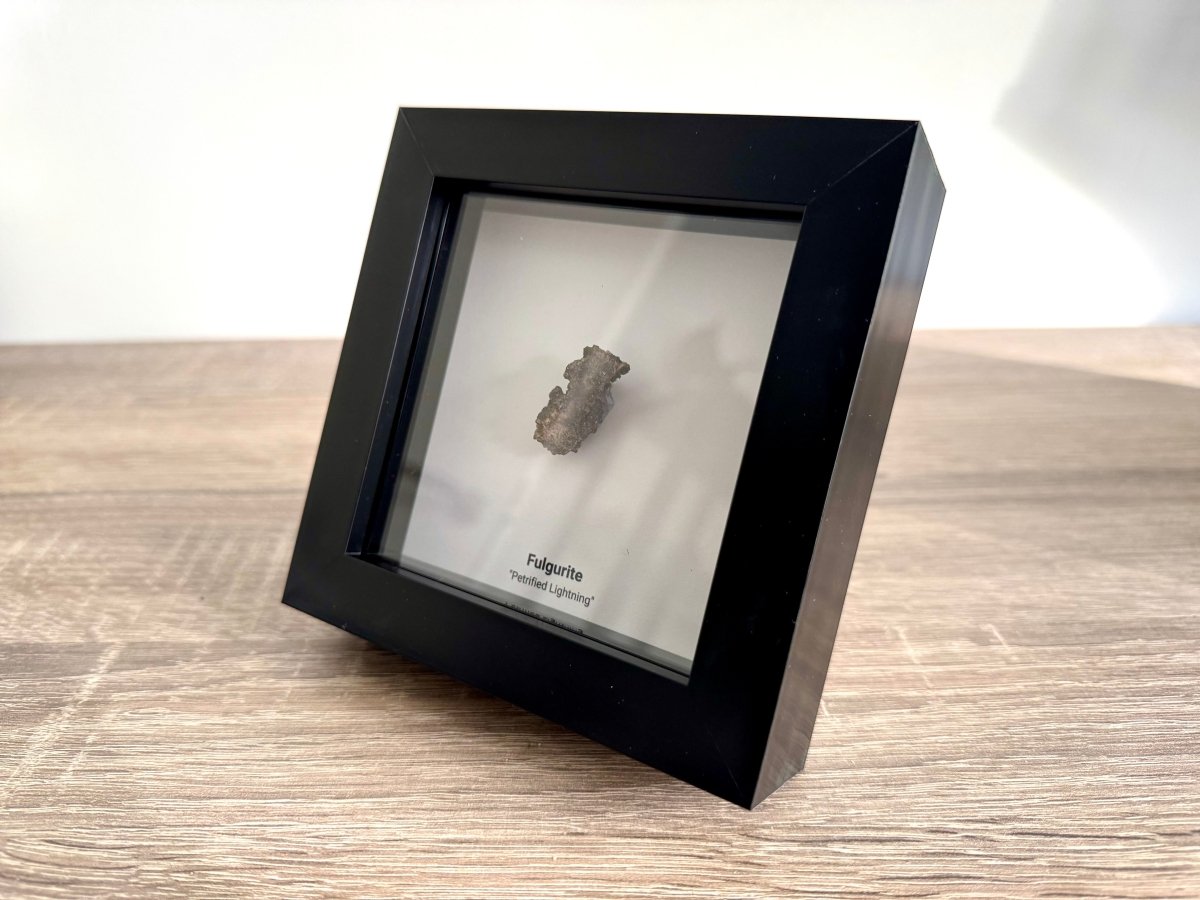 Fulgurite, Nature’s Lightning Formed Gemstone in Deep Box Frame - FossilsAndMore