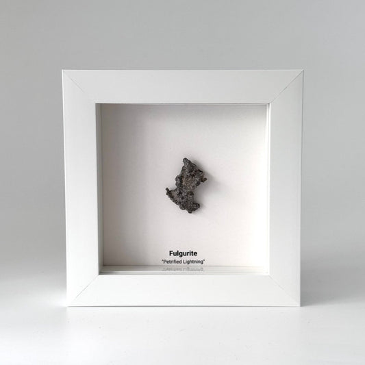 Fulgurite, Nature’s Lightning Formed Gemstone in Deep Box Frame - FossilsAndMore