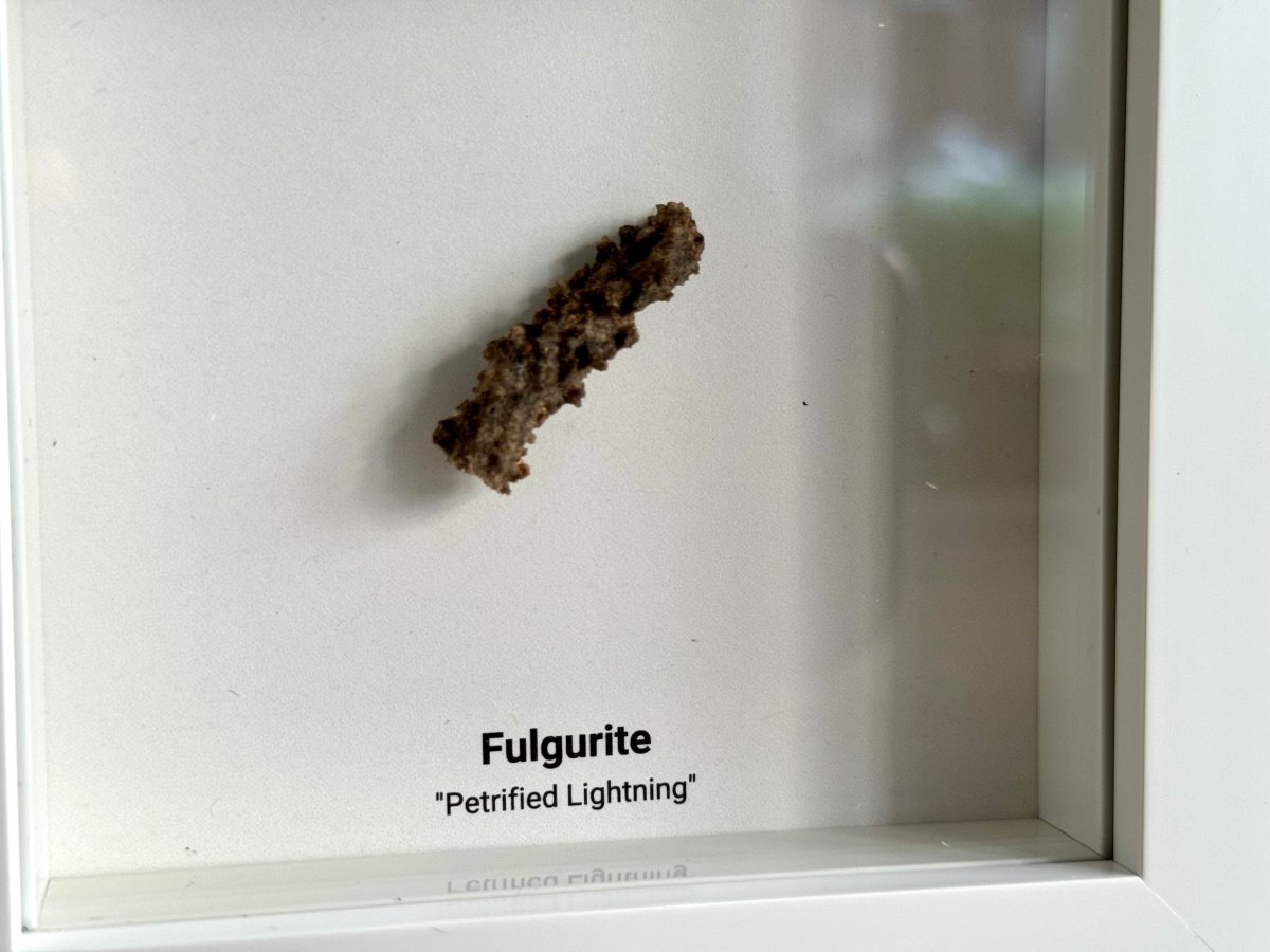 Fulgurite, Nature’s Lightning Formed Gemstone in Deep Box Frame - FossilsAndMore