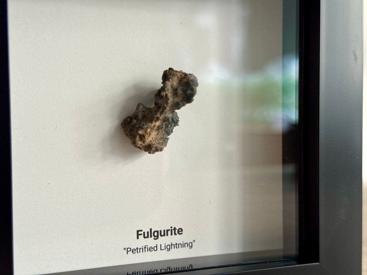 Fulgurite, Nature’s Lightning Formed Gemstone in Deep Box Frame - FossilsAndMore