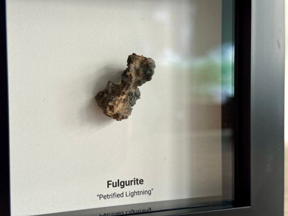 Fulgurite, Nature’s Lightning Formed Gemstone in Deep Box Frame - FossilsAndMore