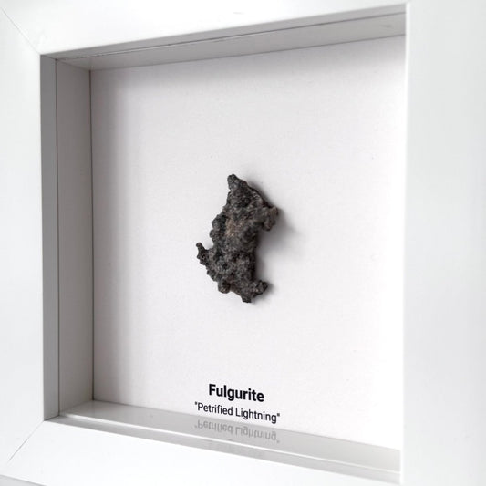 Fulgurite, Nature’s Lightning Formed Gemstone in Deep Box Frame - FossilsAndMore