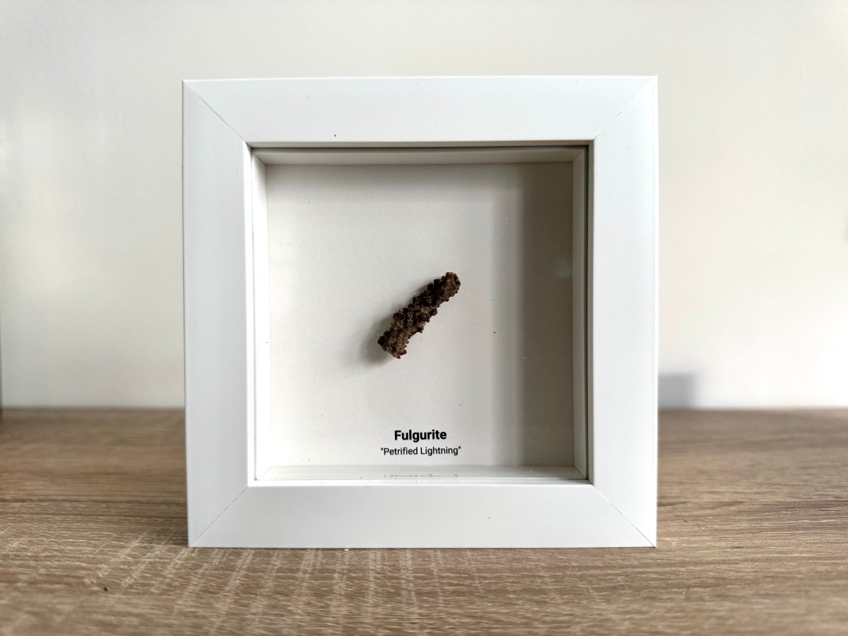 Fulgurite, Nature’s Lightning Formed Gemstone in Deep Box Frame - FossilsAndMore