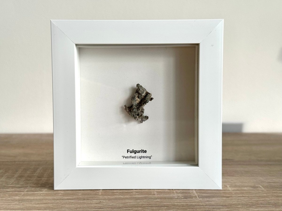 Fulgurite, Nature’s Lightning Formed Gemstone in Deep Box Frame - FossilsAndMore