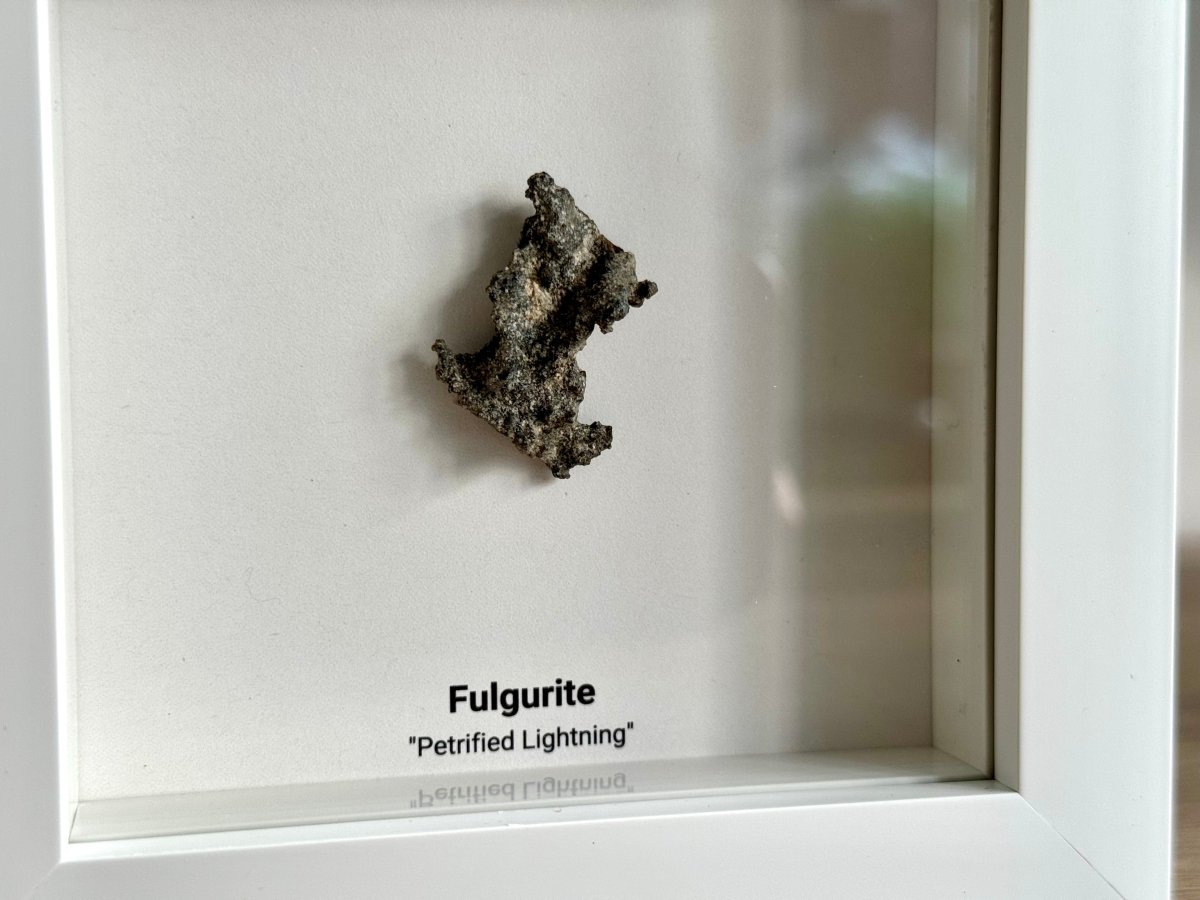 Fulgurite, Nature’s Lightning Formed Gemstone in Deep Box Frame - FossilsAndMore