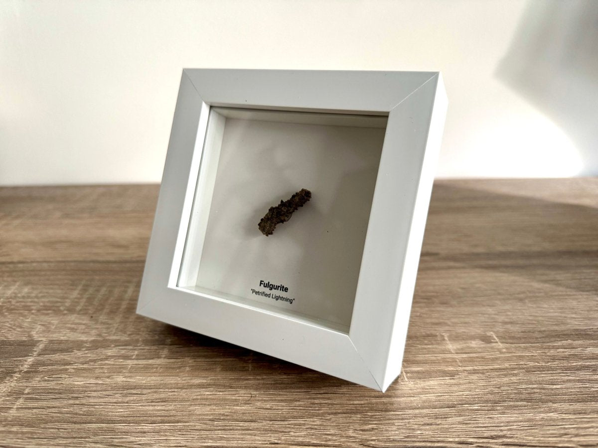 Fulgurite, Nature’s Lightning Formed Gemstone in Deep Box Frame - FossilsAndMore
