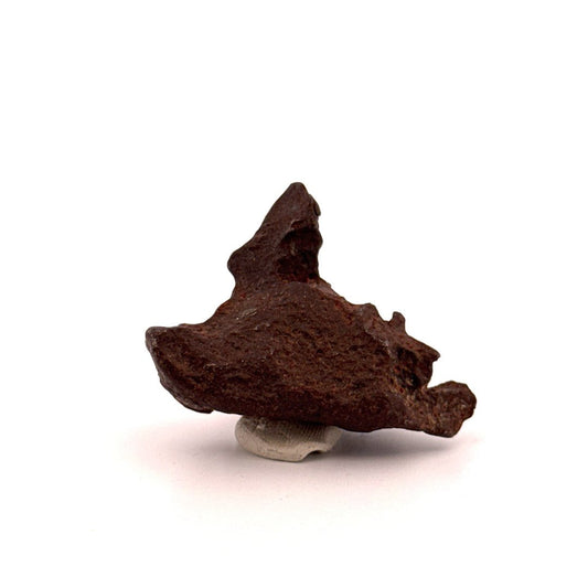 Gebel Kamil Iron Meteorite fragment from Egypt (66 Grams) - FossilsAndMore
