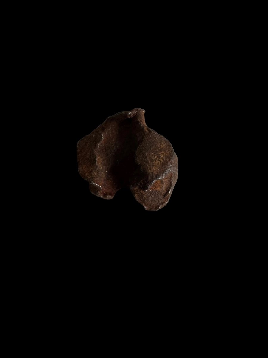 Gebel Kamil Iron Meteorite fragments from Egypt - FossilsAndMore