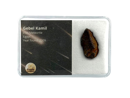 Gebel Kamil Iron Meteorite fragments from Egypt - FossilsAndMore