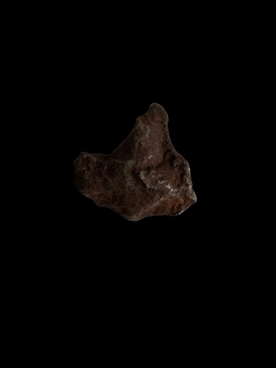 Gebel Kamil Iron Meteorite fragments from Egypt - FossilsAndMore