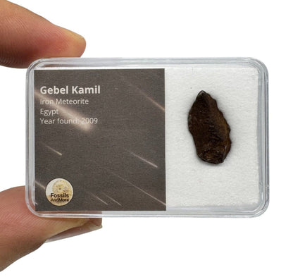 Gebel Kamil Iron Meteorite fragments from Egypt - FossilsAndMore
