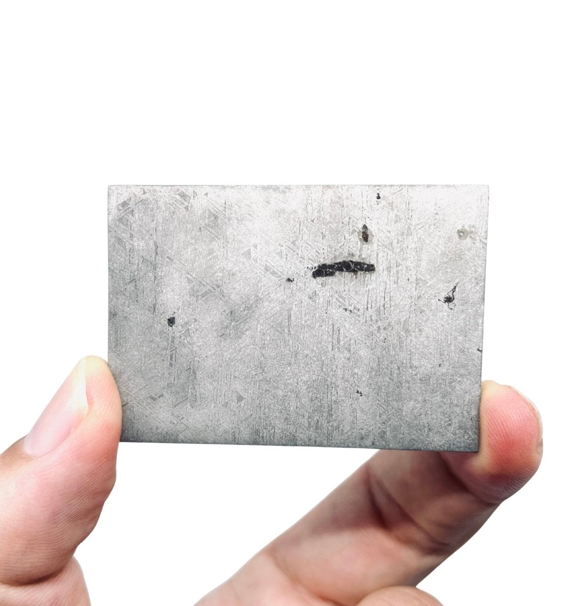 Gibeon Iron Meteorite slice from Namibia (Widmanstätten pattern) - FossilsAndMore