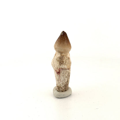 Globidens fossil tooth with natural root (1.87") - Cretaceous, Morocco - FossilsAndMore