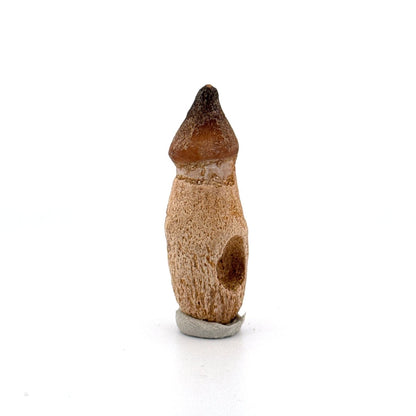 Globidens phosphaticus tooth with natural root from Cretaceous, Morocco (1.87") - FossilsAndMore